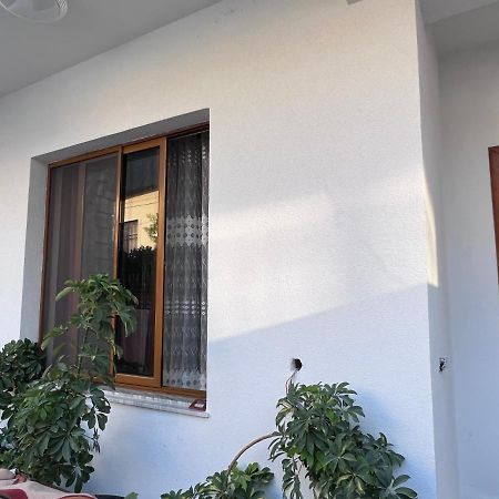 David Guesthouse Shkoder Luaran gambar